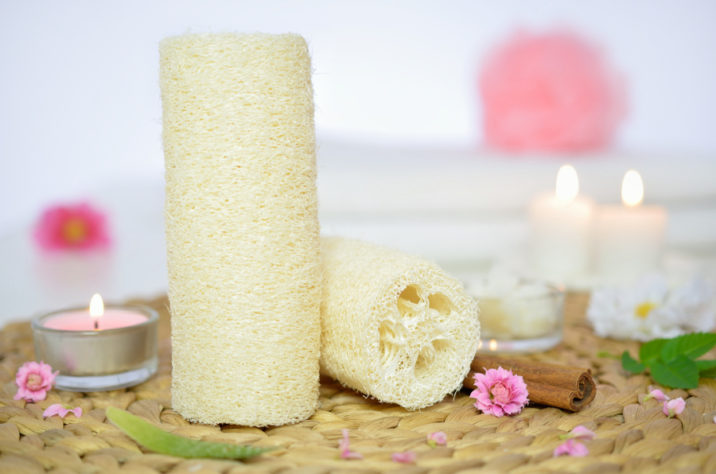 Gąbka do kąpieli loofah